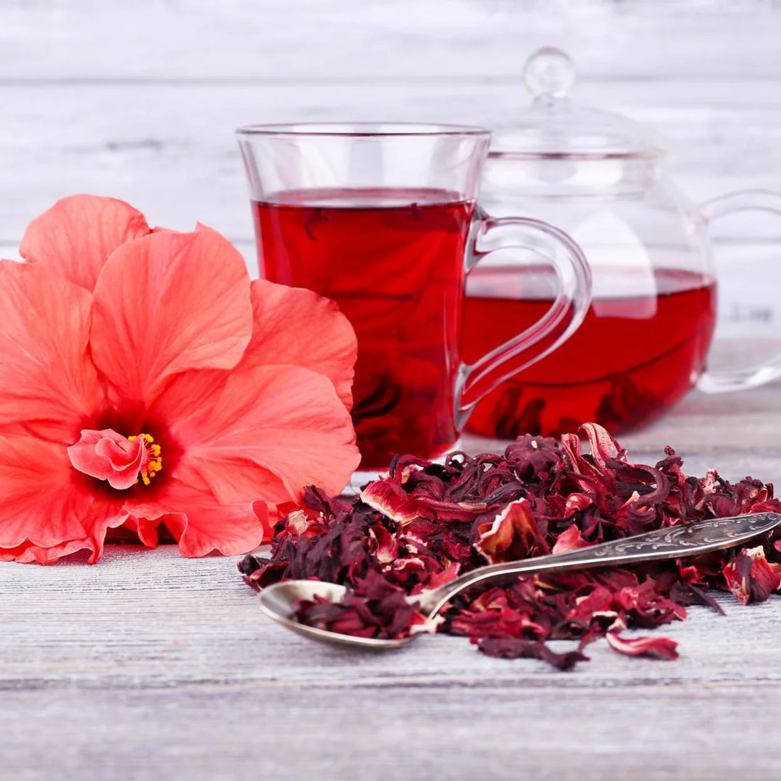 Descubre los Beneficios de la Flor de Hibiscus o Flor de Jamaica: Una Infusión Refrescante y Saludable